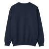 Blue Beetle Pojkar Pose Sweatshirt