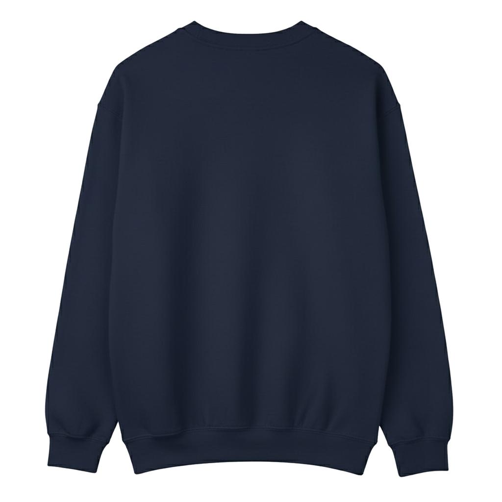 Blue Beetle Pojkar Pose Sweatshirt