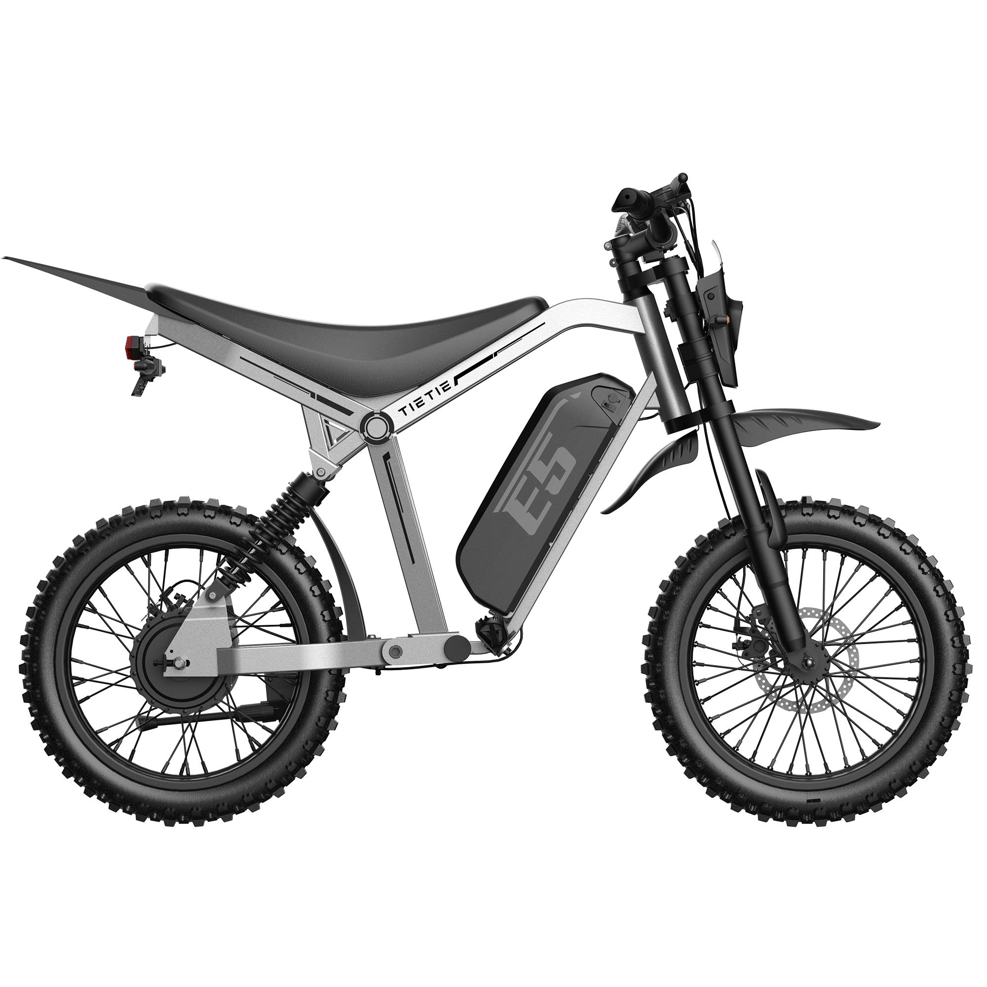 URLIFE E5 Adult Electric Bicycle 750W