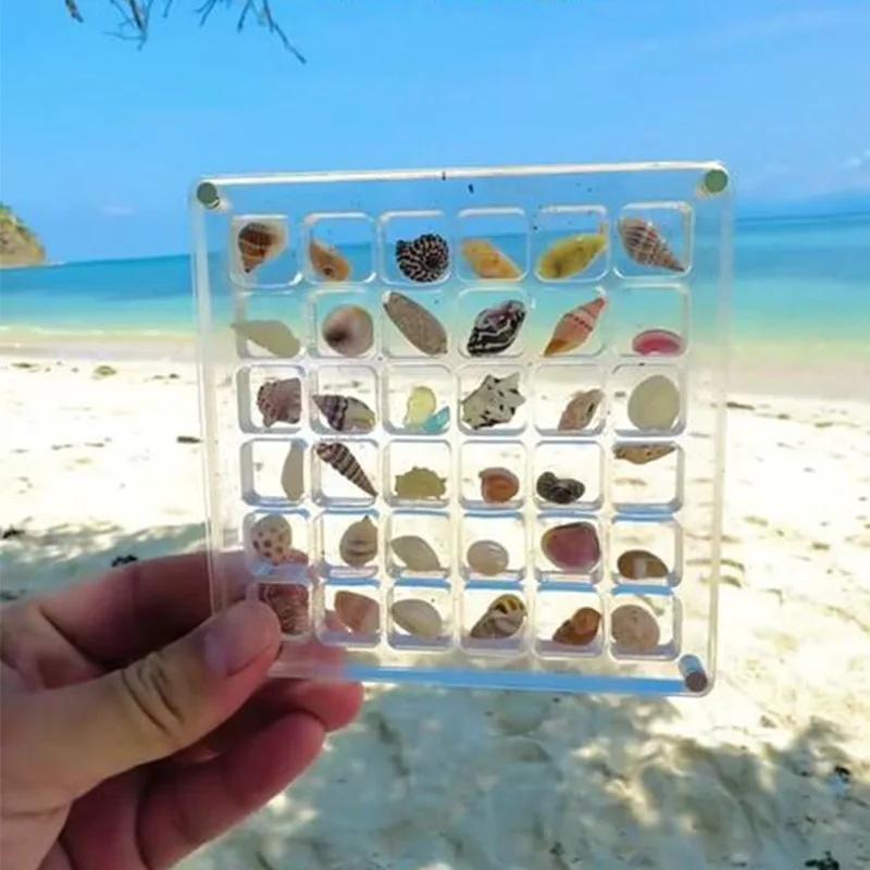 Acrylic Magnetic Seashell Display Box 36/64 Grids Diamond Storage Small Craft Organizers Compartment for Home Garden Decor