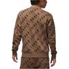 Jordan Sweatshirts Men's Brown Crew Neck Moderate Regular