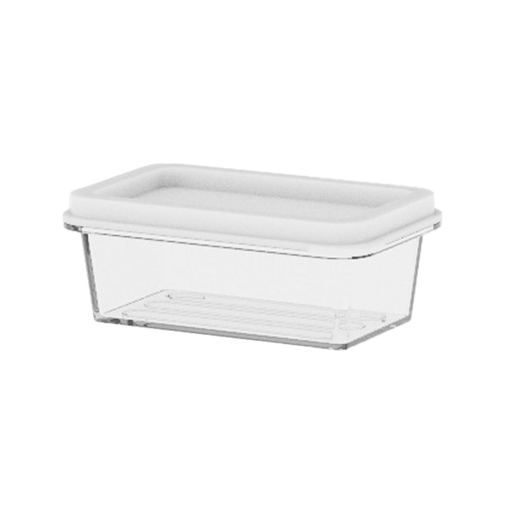 Plastic and Stainless Steel Refrigerator Crisper Food Storage Box with Plastic Lid Prepare Seafood Fruit Vegetable Picnic Box