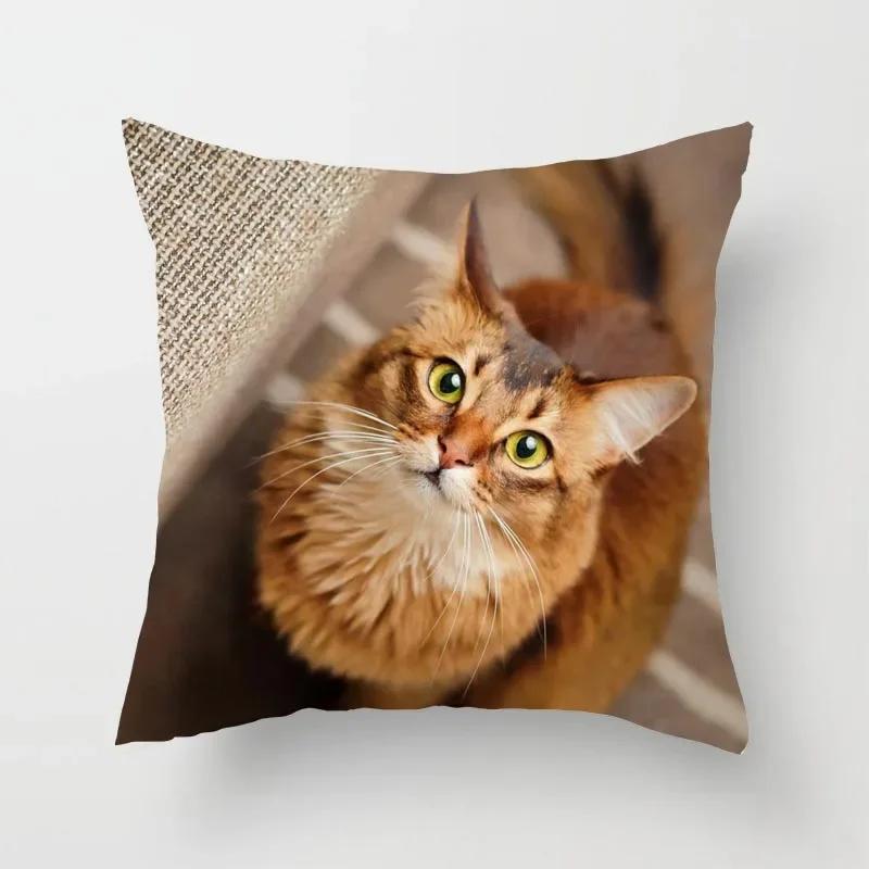 Cat Sofa Pillowcase Cushion Cover     Bed Home Living Room Car Office