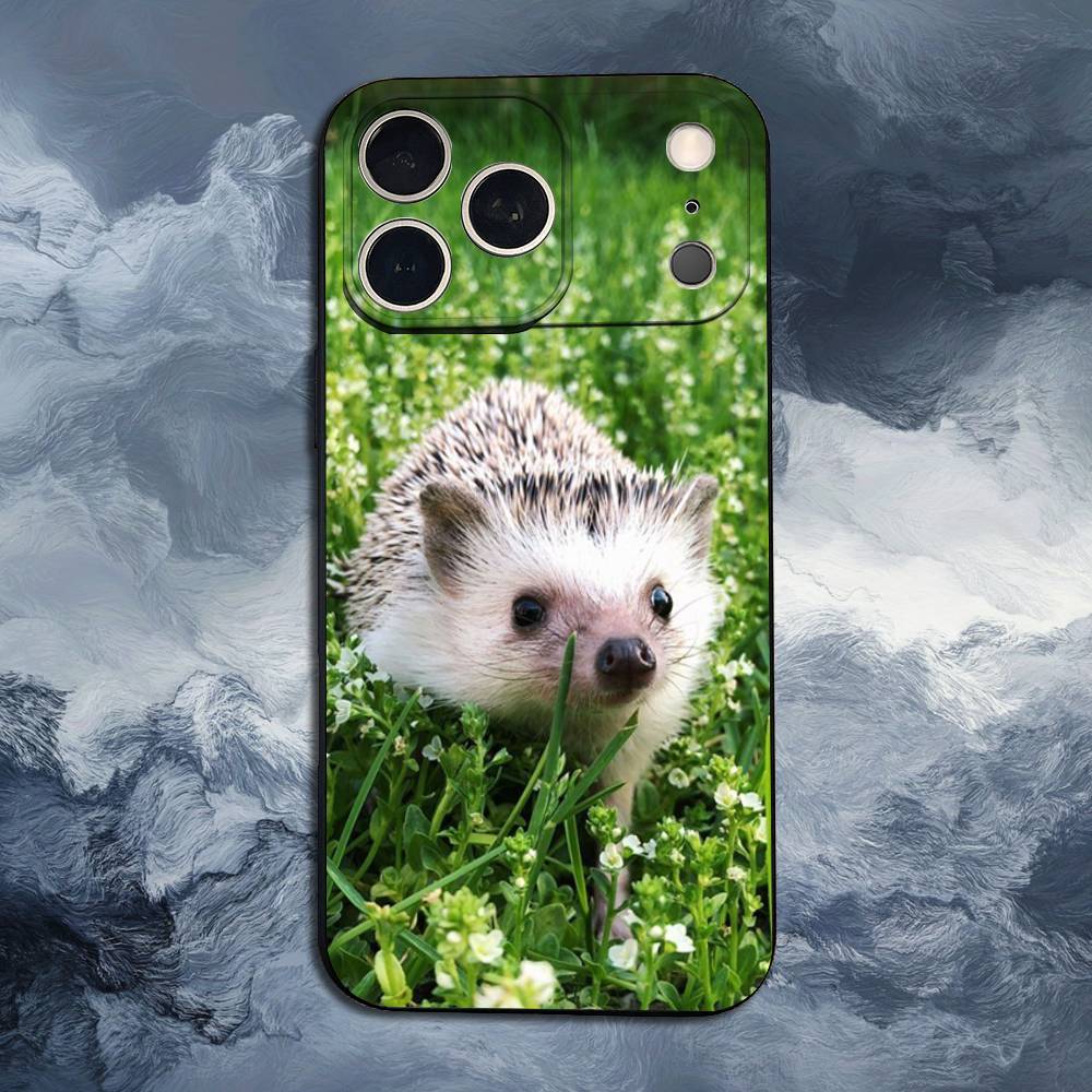 Cute Hedgehog  For iPhone 13,16,11,14,17,12,15,Plus,Pro Max,XS,X,XR,SE,Mini,8,7,Phone Case Soft Silicone Black