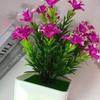 Plastic Sasanqua Camellia Botanical Potted Plant For Gift And Decor Interior
