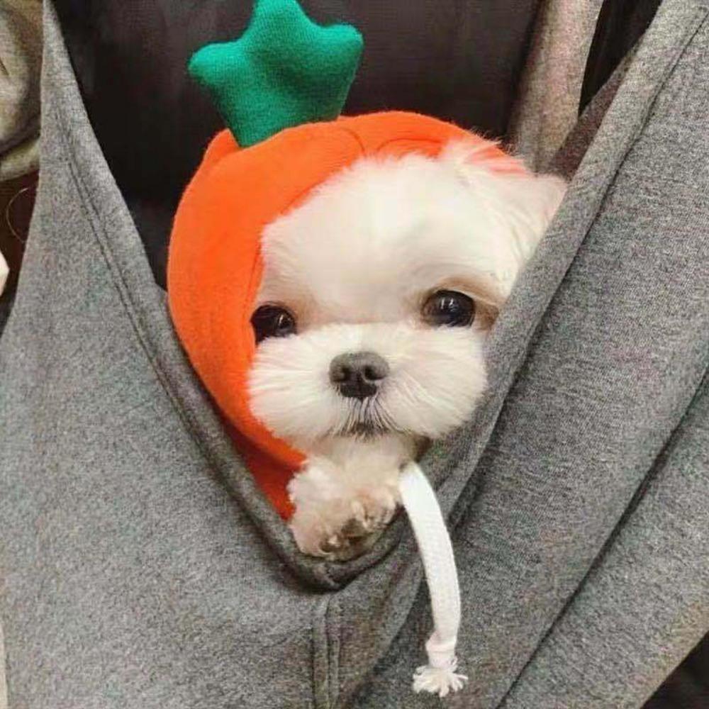 Pet Elk Transformation Dog Cat Small Medium Dog Autumn Winter Sweater Dog Fleece Clothing Cat Supplies Teddy Doo