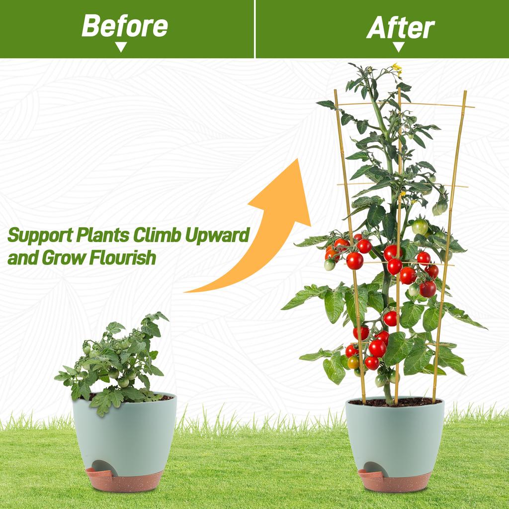 10pcs 3FT Bamboo Trellis For Climbing Plants,Fan-Shaped Plant Support Trellis For Houseplants Ivy Hoya Vine Monstera