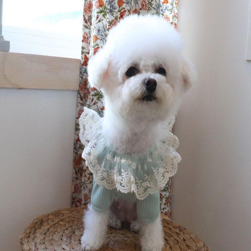 Haneul mung mung angel ray t-shirt 4 colors