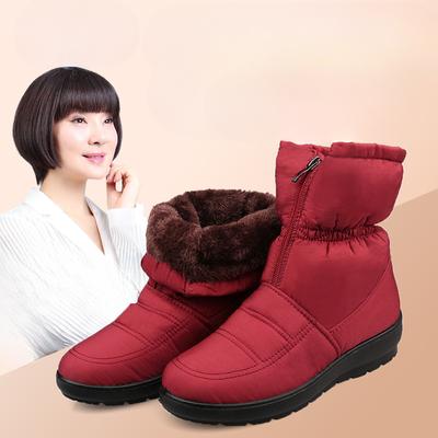 Winter Women Boots Female Waterproof Ankle Boots Down Warm Snow Boots Ladies Shoes W