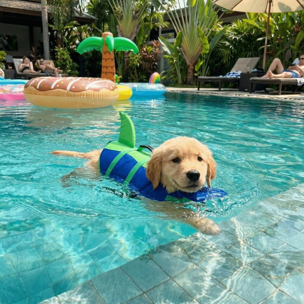 Shark Shape Dog Life Vest Adjustable Dog Life Preserver Dog Swimming Suit Boating Safety