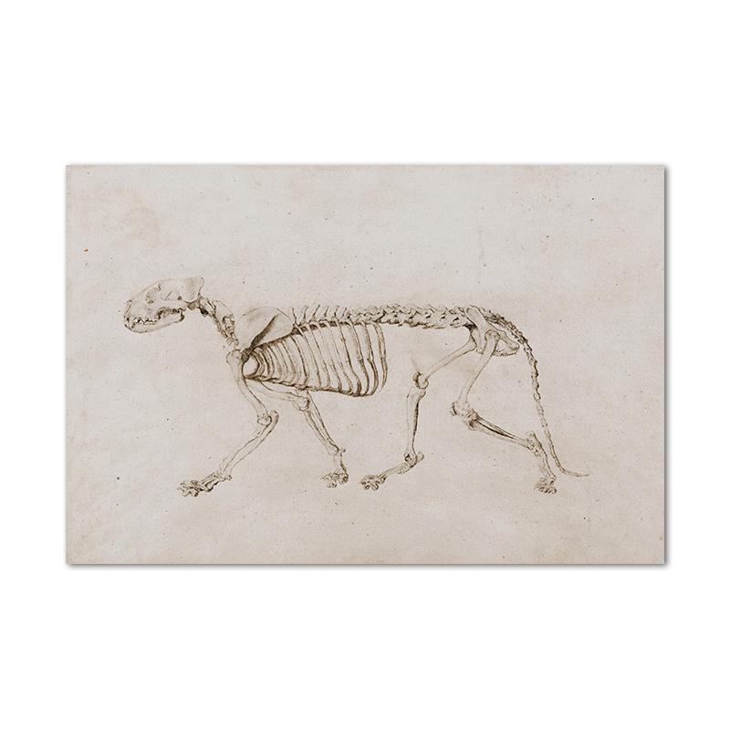 Moody Victorian Paintings Prints Vintage Dark Academia Aesthetic Decor Floral Poster Skeleton Canvas Painting Gallery Wall Decor