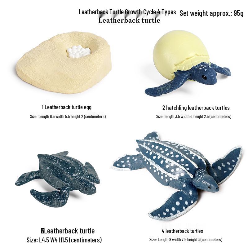 Children's Cognitive Marine Animal Models: Sea Turtle and Tortoise Toys