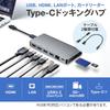SANWA SUPPLY USB Docking Hub with LAN and Card Type-C (Equipped HDMI, Port, Reader) USB-3TCH14S2
