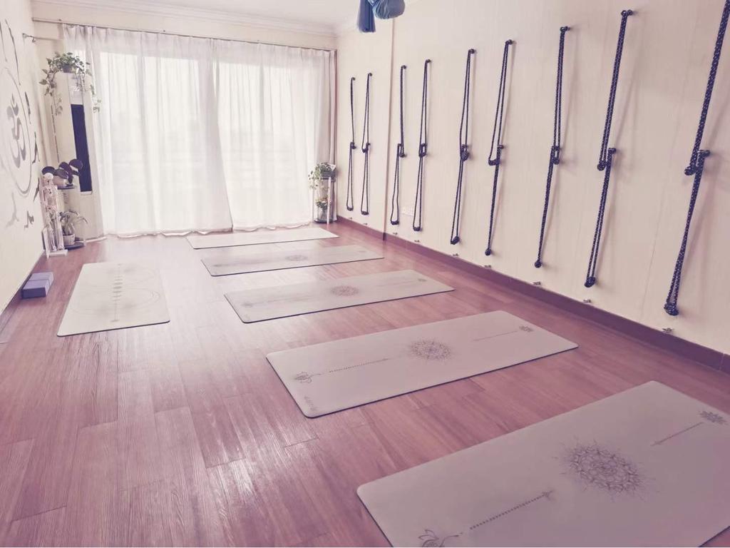 Professionellt Iyengar Väggrep Set: Anti-Gravity Yoga Hjälpmedel med Ren Bomullssnodd för Luftakrobatik