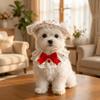 Breathable Pet Fisherman Hat Thin Cotton Dog Sunscreen Hat Cute Pet Sun Hat  Summer Season