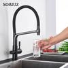 Filter Kitchen Faucet Black Dual Spout Drinking Water Faucet Mixer 360 Degree Rotation Hot Cold Water Purification Feature Tap