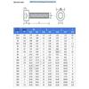 8.8 High-Strength Socket Head Cap Screw Bolt (M4-M16)