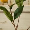 Elegant Artificial Lemon Fruit Luxury Simulation Fruit Tree Fake Plants  Indoor Outdoor