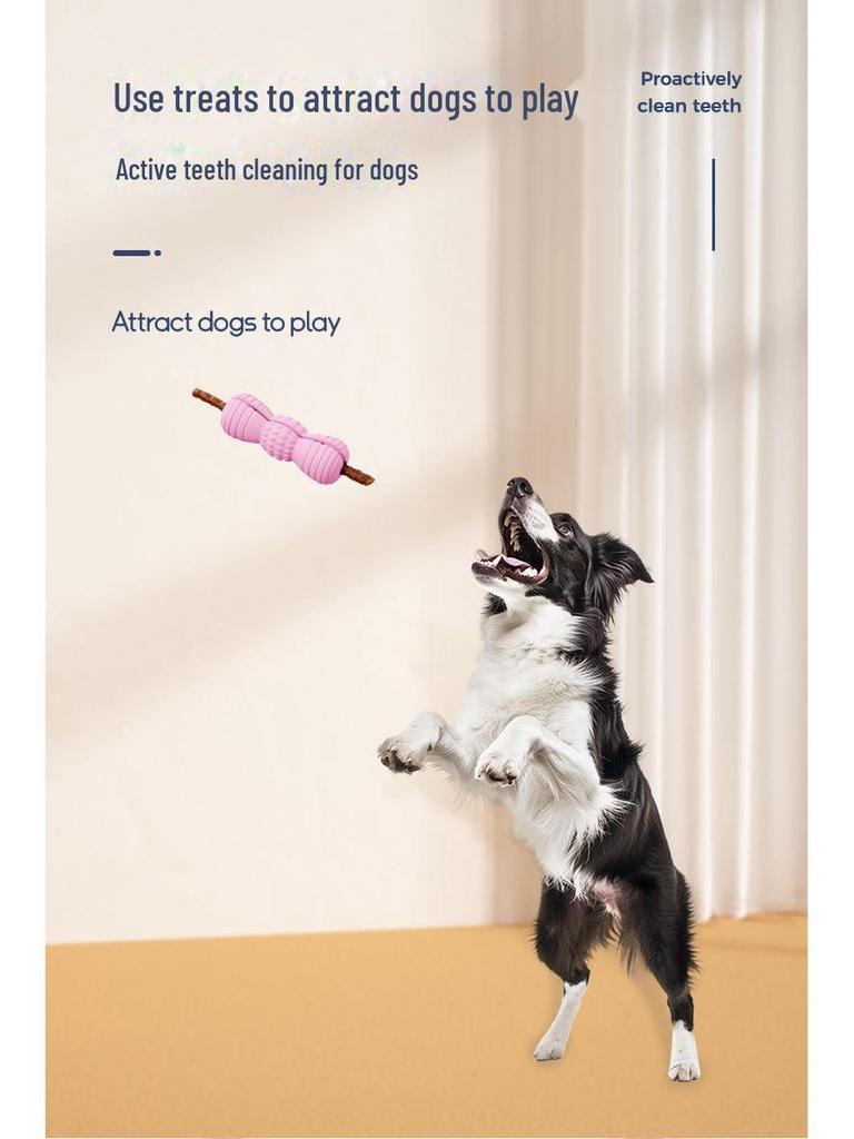 Natural Rubber Interactive Dog Toy for Teeth Grinding and Food Dispensing