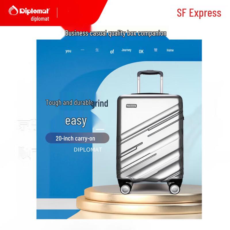 Diplomat DS-13100 Hardside Check-in Luggage 24 inch