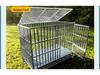 Stainless Steel Folding Dog Cage for Medium & Large Dogs