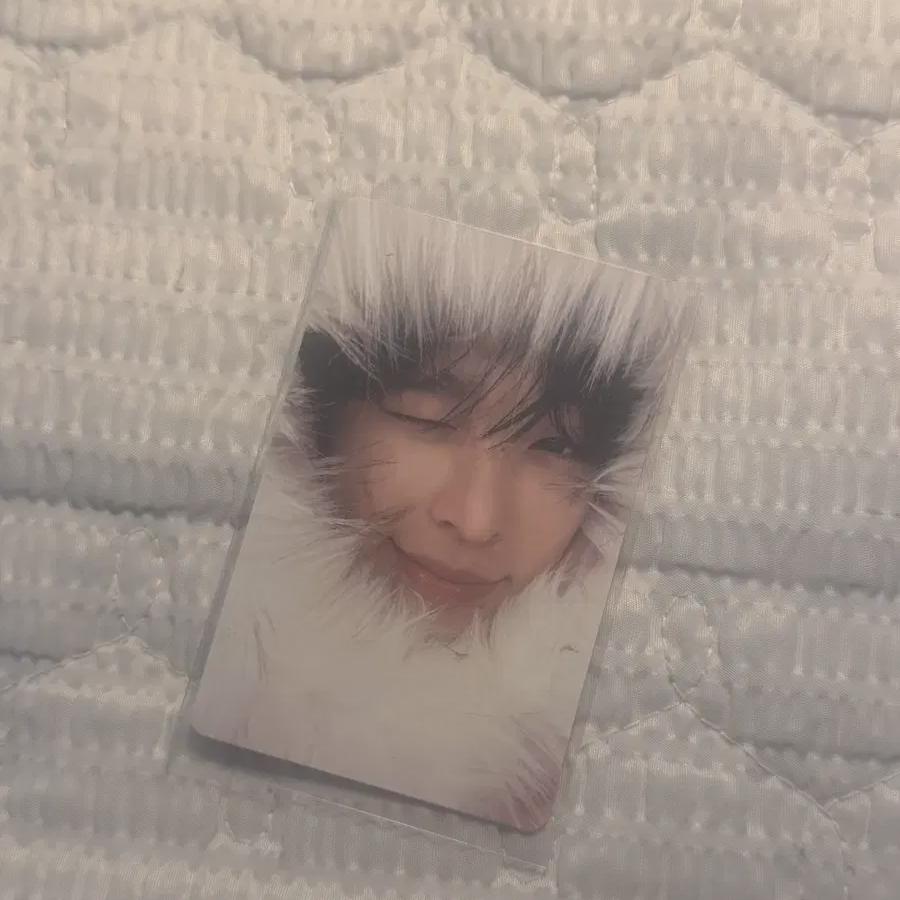 

Ncitywish Riku Miracliku Цвет Ограниченный первый тираж