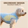 Thin Breathable Color-Block Dog Summer Vest, Cooling Anti-Heat Pet Clothes for Small to Medium Dogs, Ideal for Daily Indoor and Outdoor Wear
