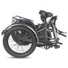 Electric Cargo Bicycle Fafrees 20" F20 Mate 250W Motor Foldable E-Bike Top Speed 25km/h LCD Display 48V 20Ah Dual Hydraulic Brake Max Load 180Kg