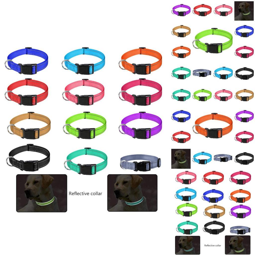 Durable Reflective Neoprene Dog Collar Available In 12 Vibrant Colors And 5 Sizes
