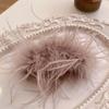 Headwear Party Headwear Women Hair Clips Feather Hairpins Korean Hair Accessories Feather Hair Claw