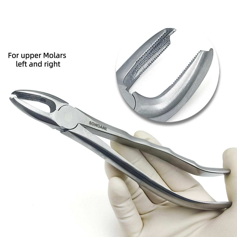 Pinza di Estrazione Dentale di Alta Qualità per Molari Superiori Afferrando in Profondità Pinza Forceps per Estrazione Denti Adulti
