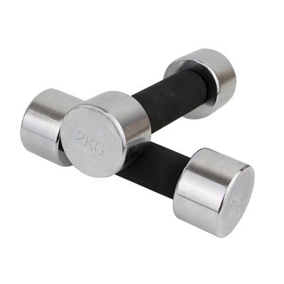 DUMBELL MASTER 2 X 2 KG Dumbbell Set