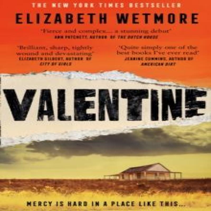 Valentine by Elizabeth Wetmore Paperback Book 9780008331962