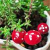20 Stück Schaumstoff Miniatur Pilz Handwerk Garten Blumentopf Mini Dekoration