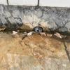 4pcs Mesh Anti-Blocking Filter Expand Aluminum Floor Drain Filter Gutter Filter  Drain Pipe Cover