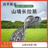 Yuanfeng Jielong 2006-72 Restaurant Tent & Accessories
