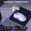 Lightweight Gaming Mouse 3 Mode with Charging Dock High Accuracy Sensor Programmable