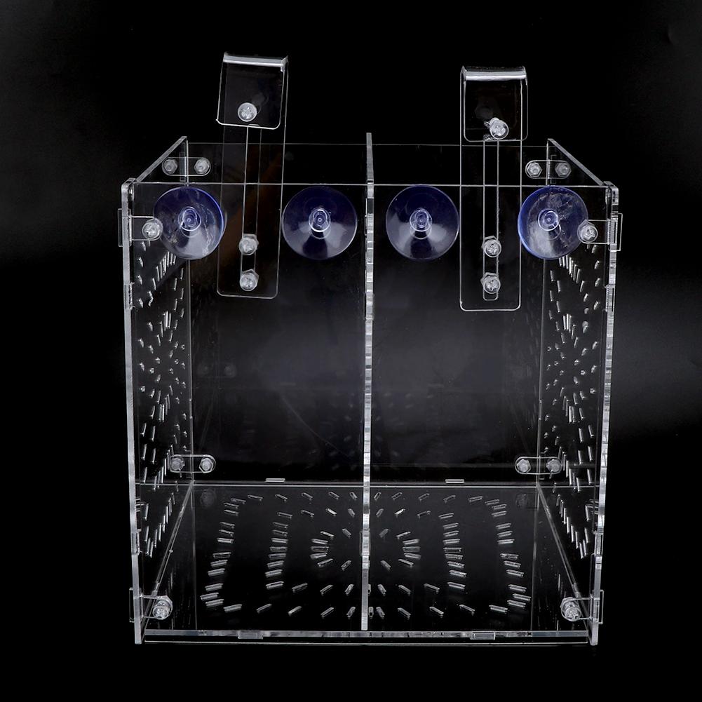 Isolamento Allevamento Piantine Incubazione Riproduzione per Acquario Acquario(20x20x20cm)