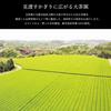 WAKOHEN Matcha Powder 30g (from Kagoshima)
