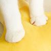 Almofada de Pescoço de Pelúcia para Pet, Almofada Macia para Dormir para Cães Pequenos e Gatos, Brinquedo de Abraçar em Forma de Broto de Feijão para Filhote de Cachorro e Gato