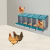 Caixa de Ninho para Galinhas com 5 Compartimentos, Ninho para Galinhas Poedeiras para Coleta de Ovos, Perfeito para Gaiolas de Galinhas no Quintal e Avicultura