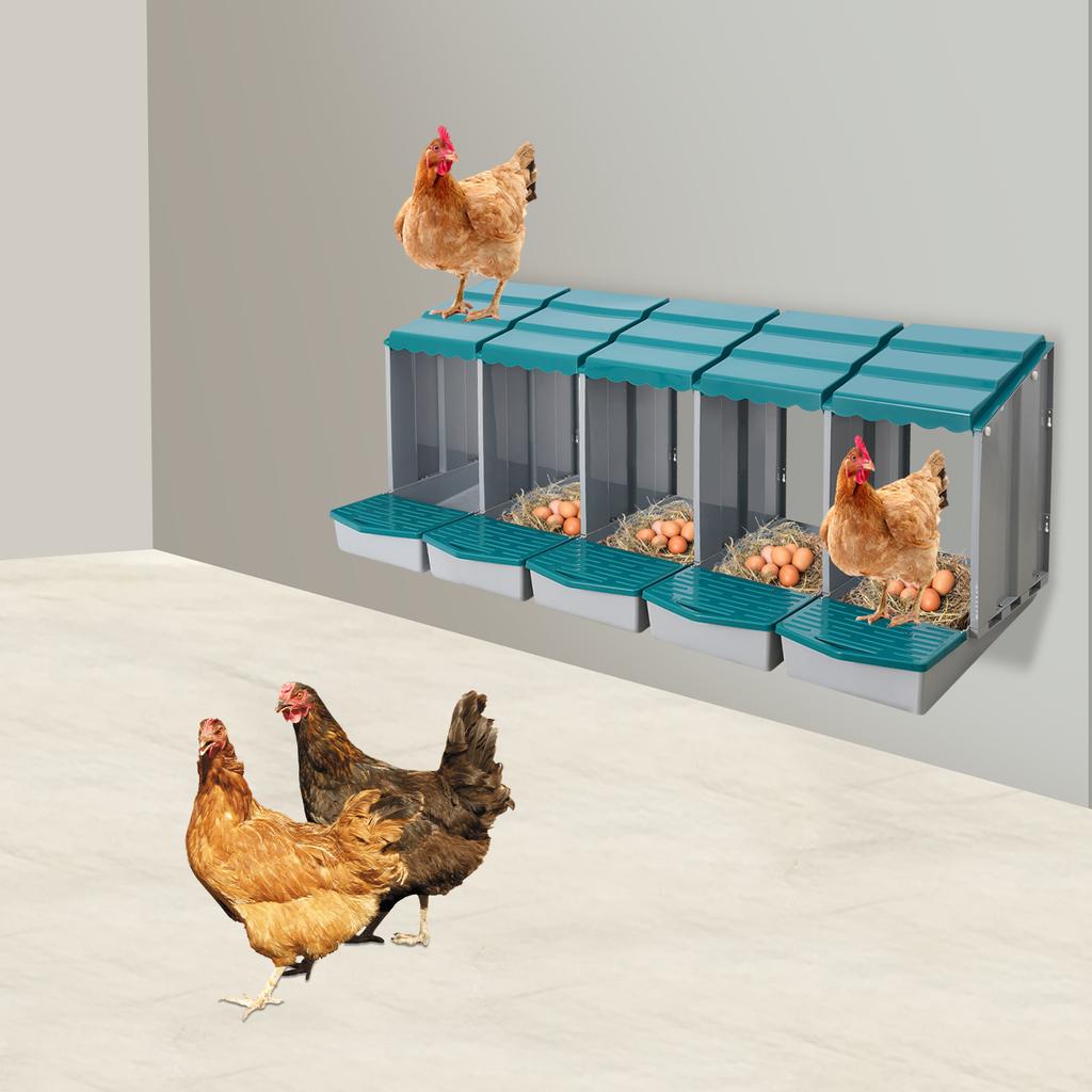 Caixa de Ninho para Galinhas com 5 Compartimentos, Ninho para Galinhas Poedeiras para Coleta de Ovos, Perfeito para Gaiolas de Galinhas no Quintal e Avicultura
