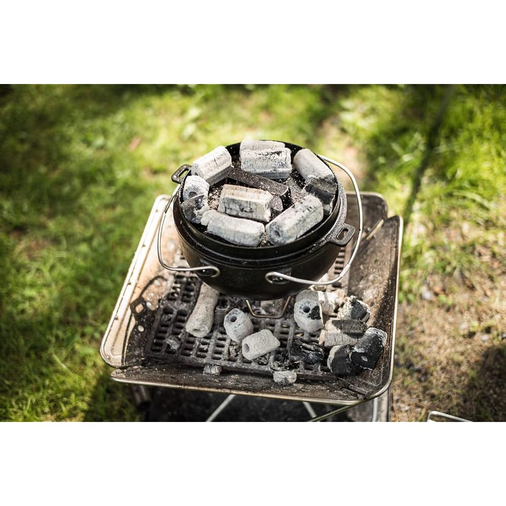 Snow Peak Pro L Charcoal Grill for 5-6 People, Portable, Easy To Clean, Outdoor Cooking Tool