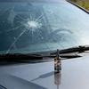 Windshield Crack Kit For Chips And Cracks,  Glass Liquid Glue For Car Window, Auto Windshield Chip Kit For All Crack Types 20ml