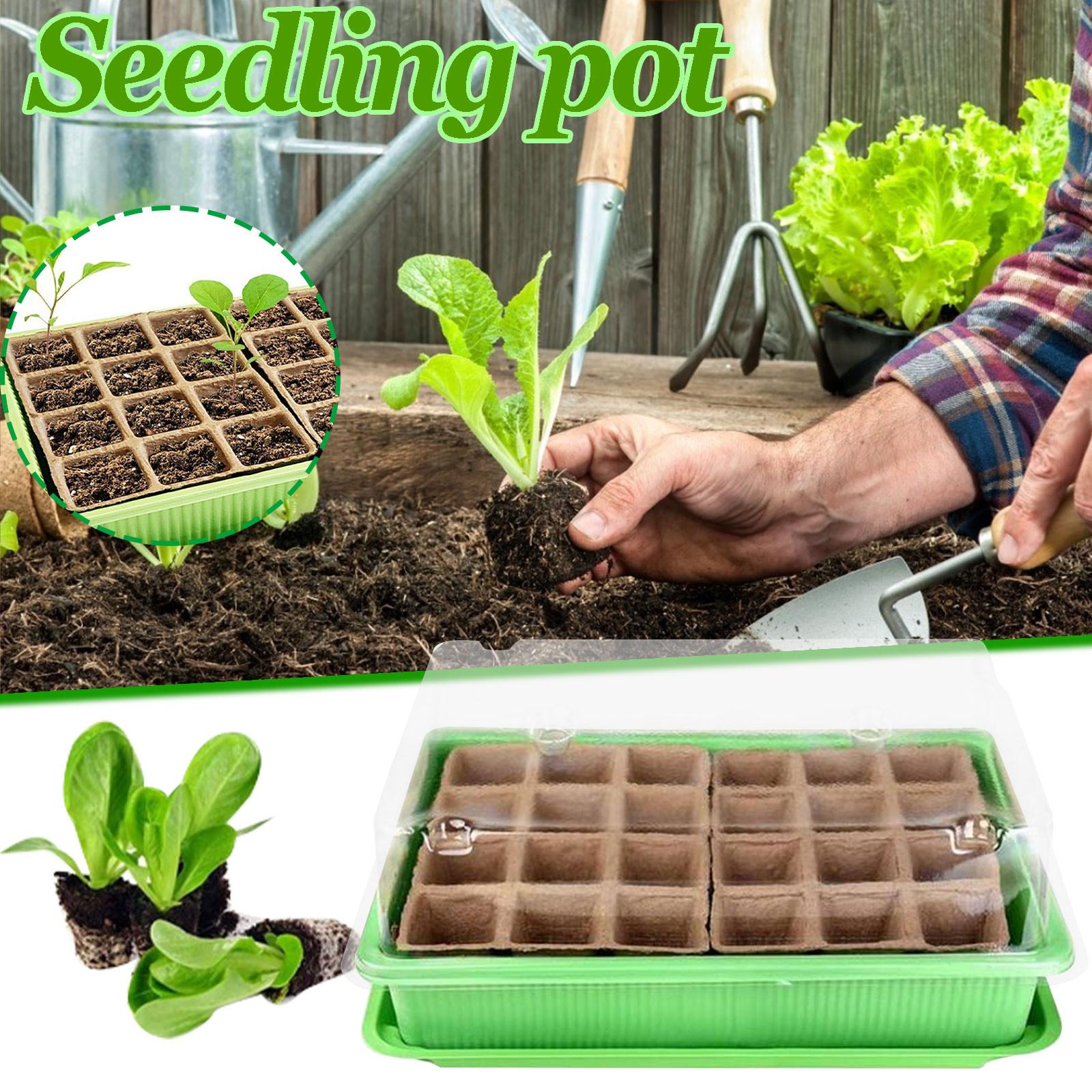 

24 Cells Gardening Mini Breathable Lids Plastic Germination Box Nursery Pots