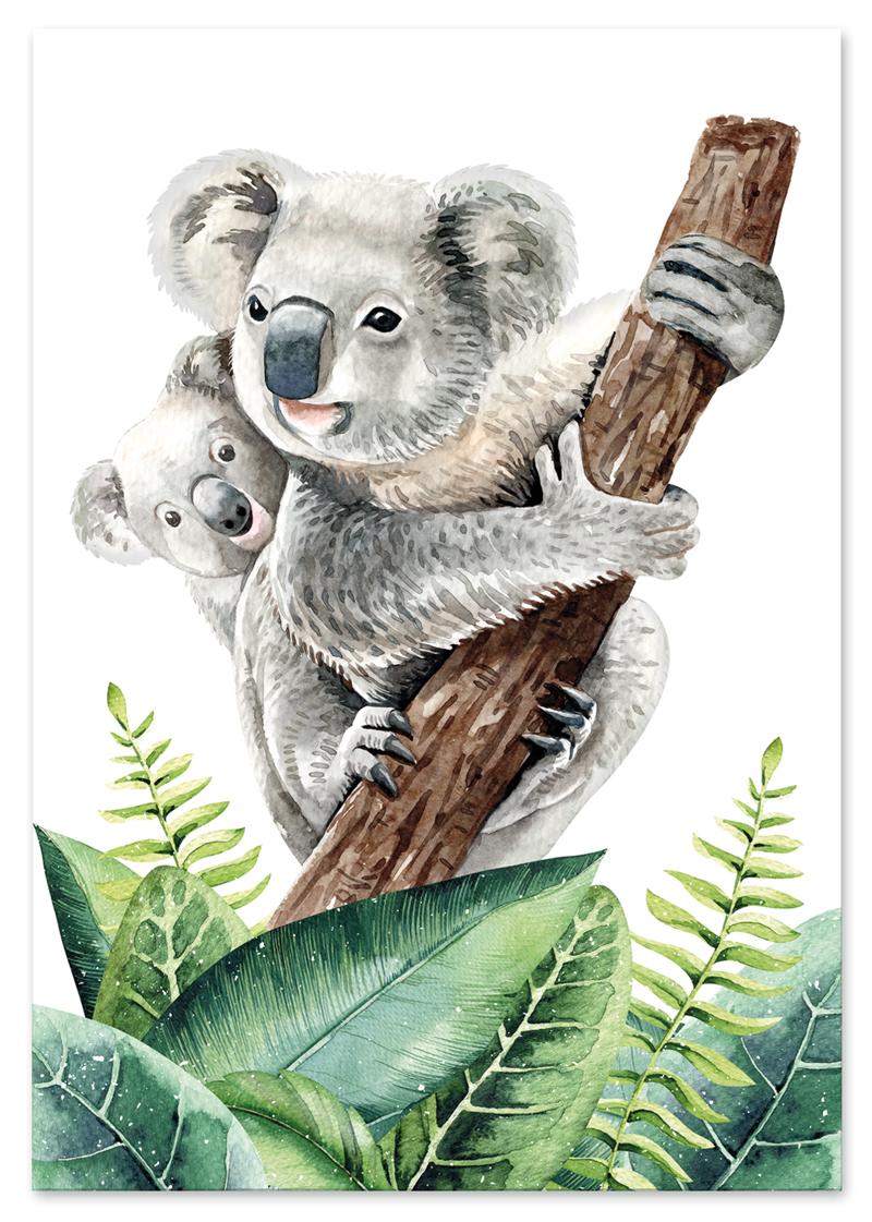 

Plakat miś koala zielone liście 30x40 cm