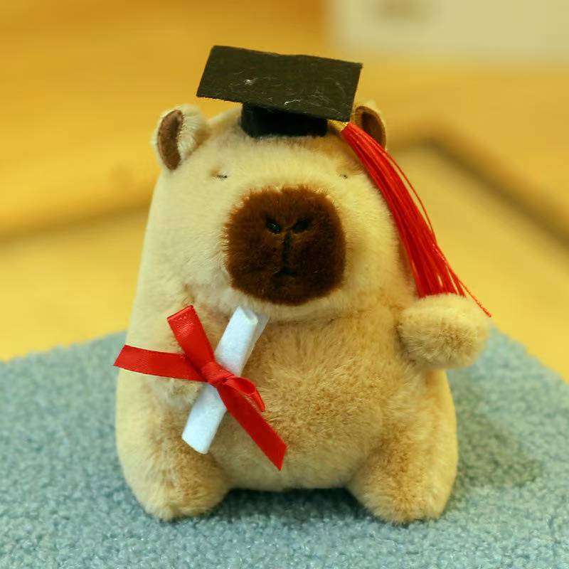 Doctor Capybara Pendant Dr. Capibala Plush Keychain Students Graduation Present Backpack Hanging Ornament Bag Car Animation Keyring