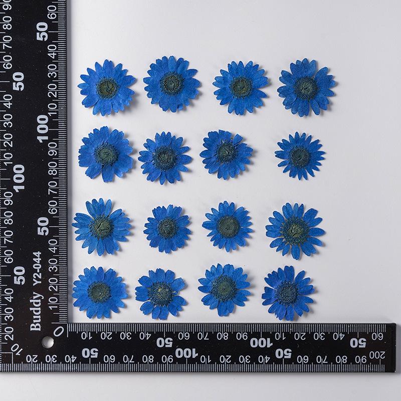12 PCS/Set Pressed Dried Flowers for Scrapbooks Making Natural Flower For Epoxy Resin Pendant Necklace Jewelry Making Craft