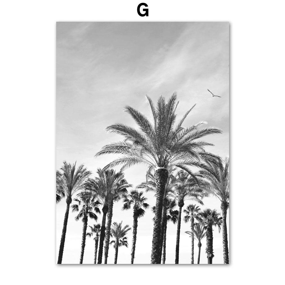 

Черно-белый шезлонг для серфинга, камера, пальма, автомобиль, фургон, настенная художественная печать, холст, картина, скандинавский постер, Декор, изображение для гостиной A4 21X30cm No Framed