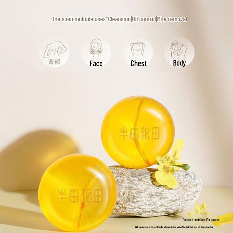 Ban Mu Hua Tian Sophora Anti-Mite Soap 100g